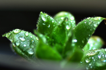 Macro denemesi