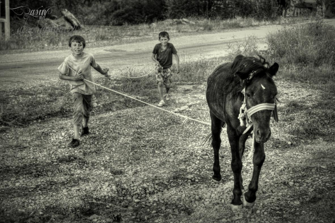 AT ÇOBANLARI