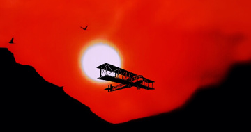 flight at dusk 