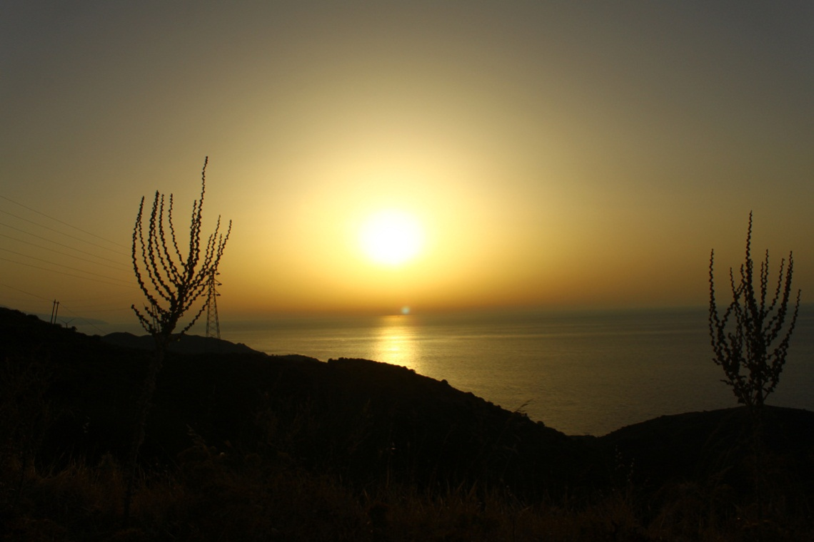 sarpıncık