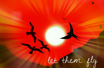 Let them fly 