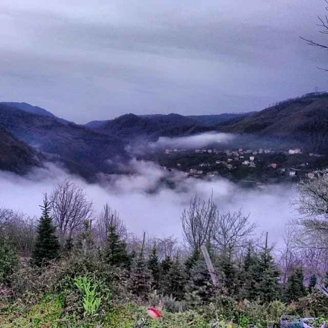 ordu yeşilköyde sis manzarası