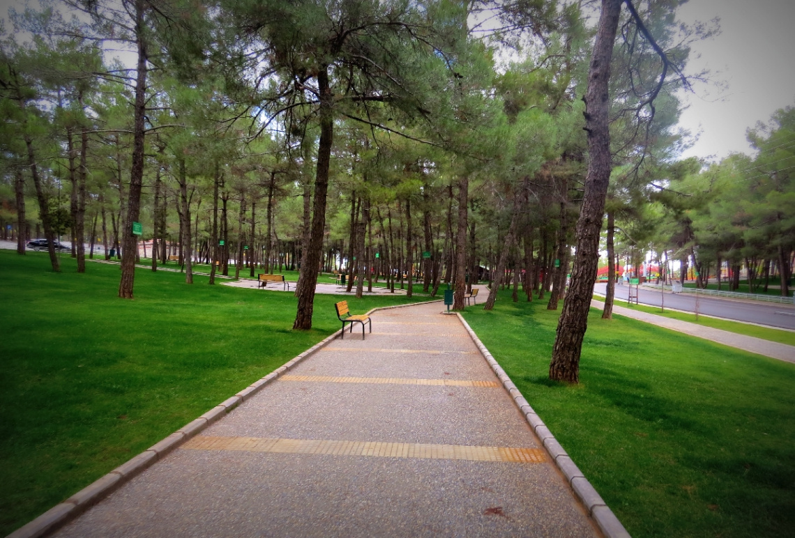 YEŞİL