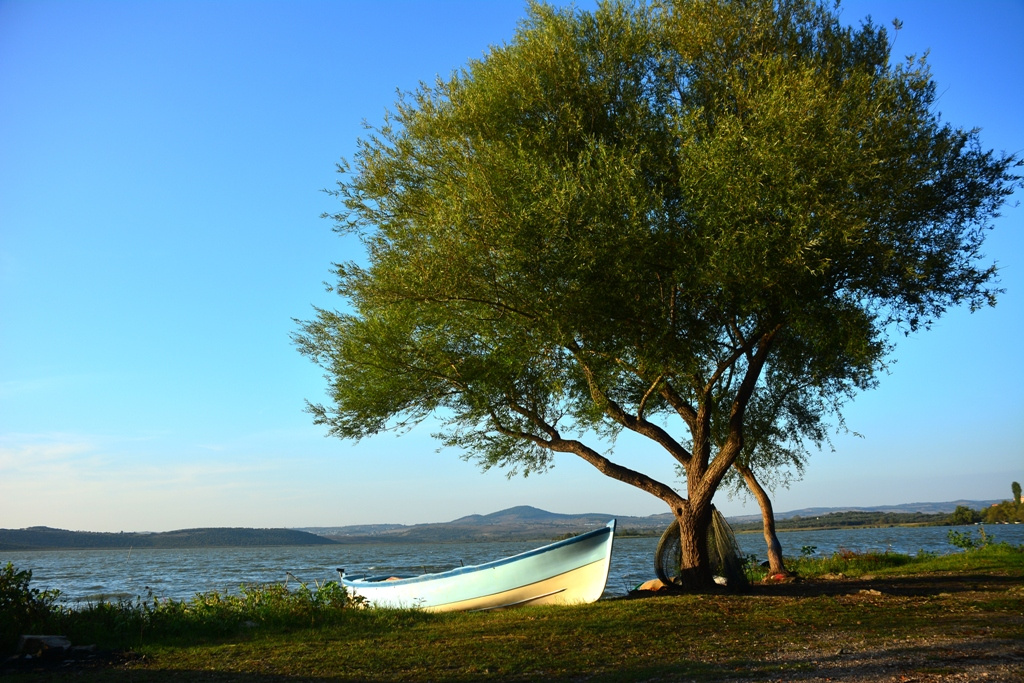 Tekbaşına