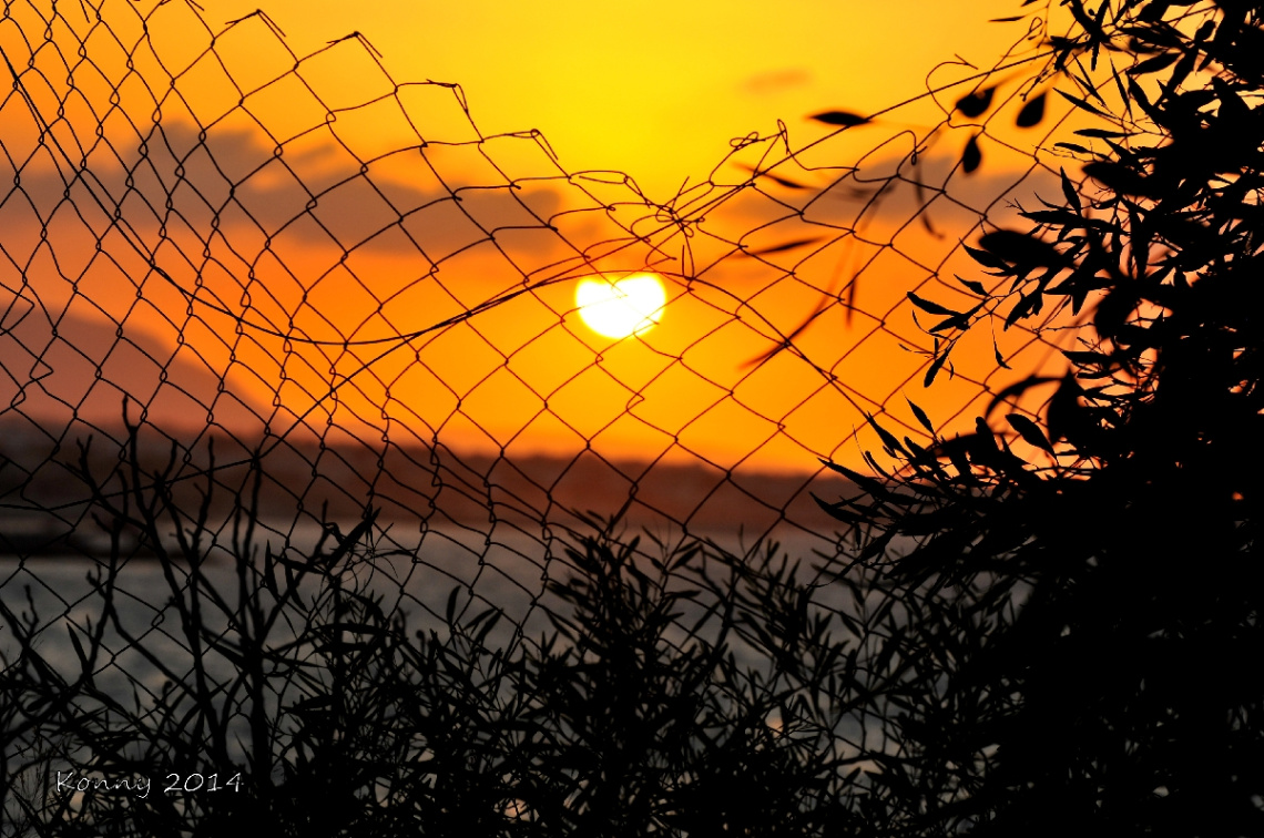 the fence & sun
