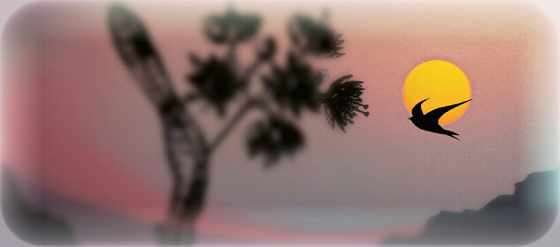 In Search of Nectar