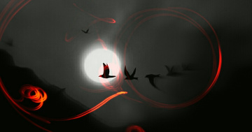 Nocturnal 