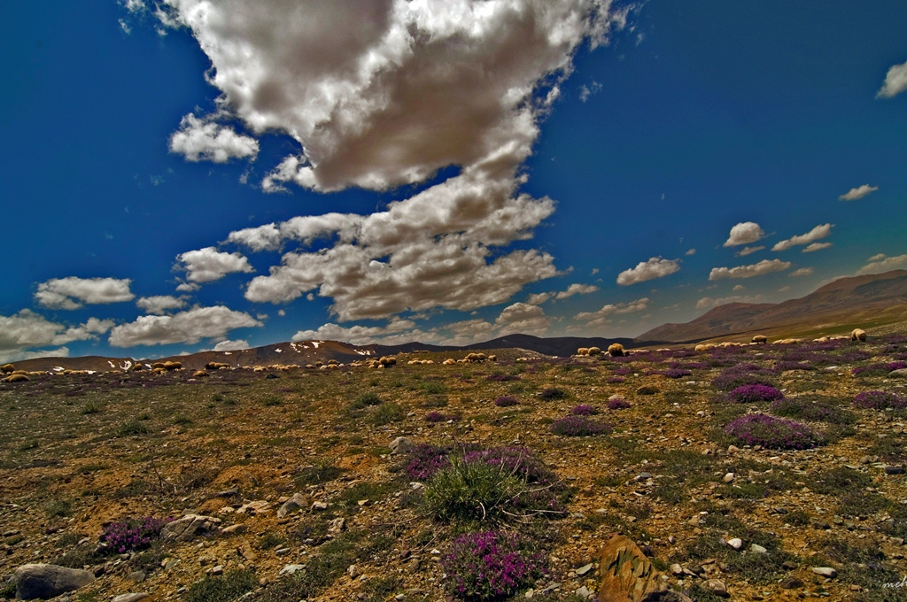 doğadan