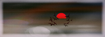Bird's ballet in the early morning 