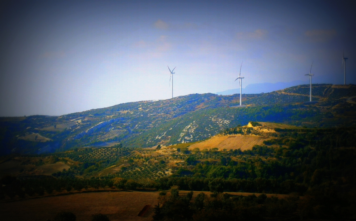 RÜZGAR GÜLLERİ