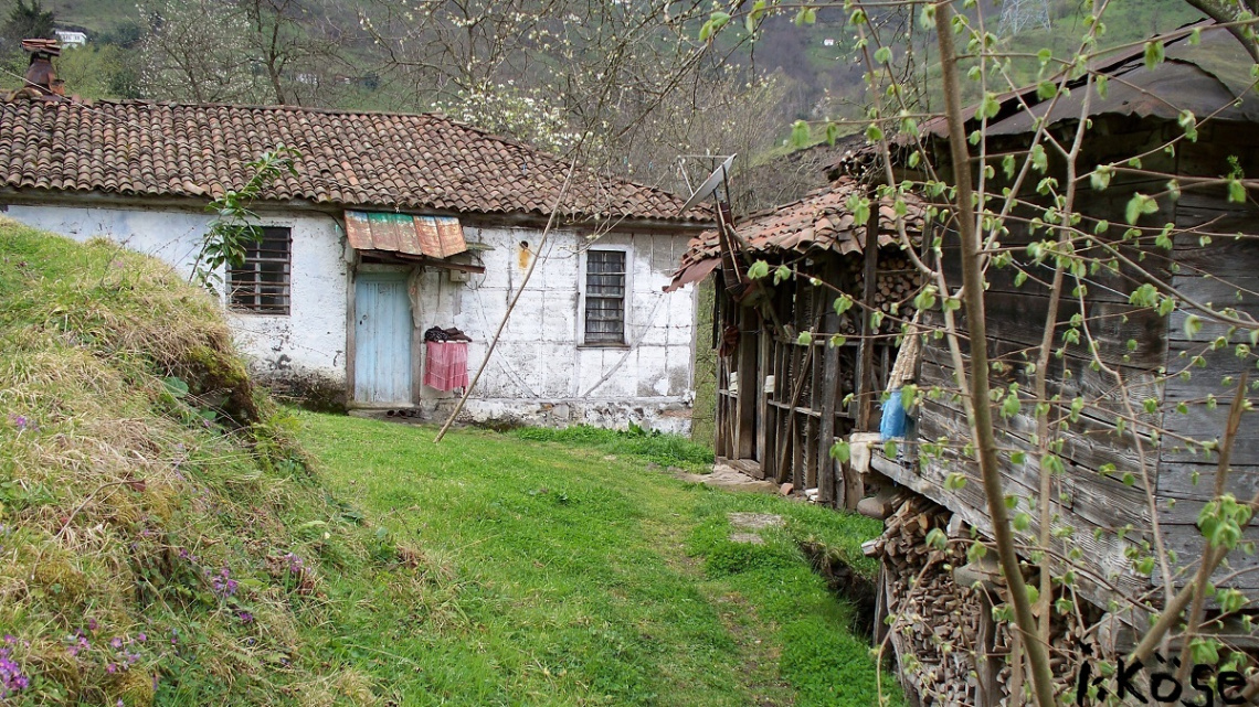 Karadeniz'de tipik köy evi