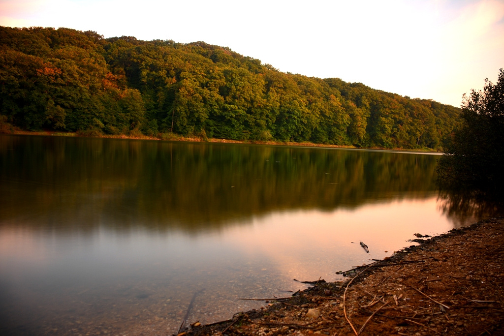 Belgrad Ormanı