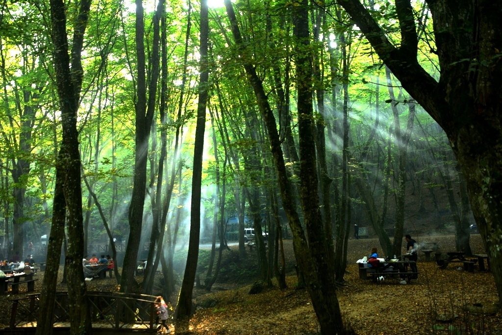 Süzülen Işıklar