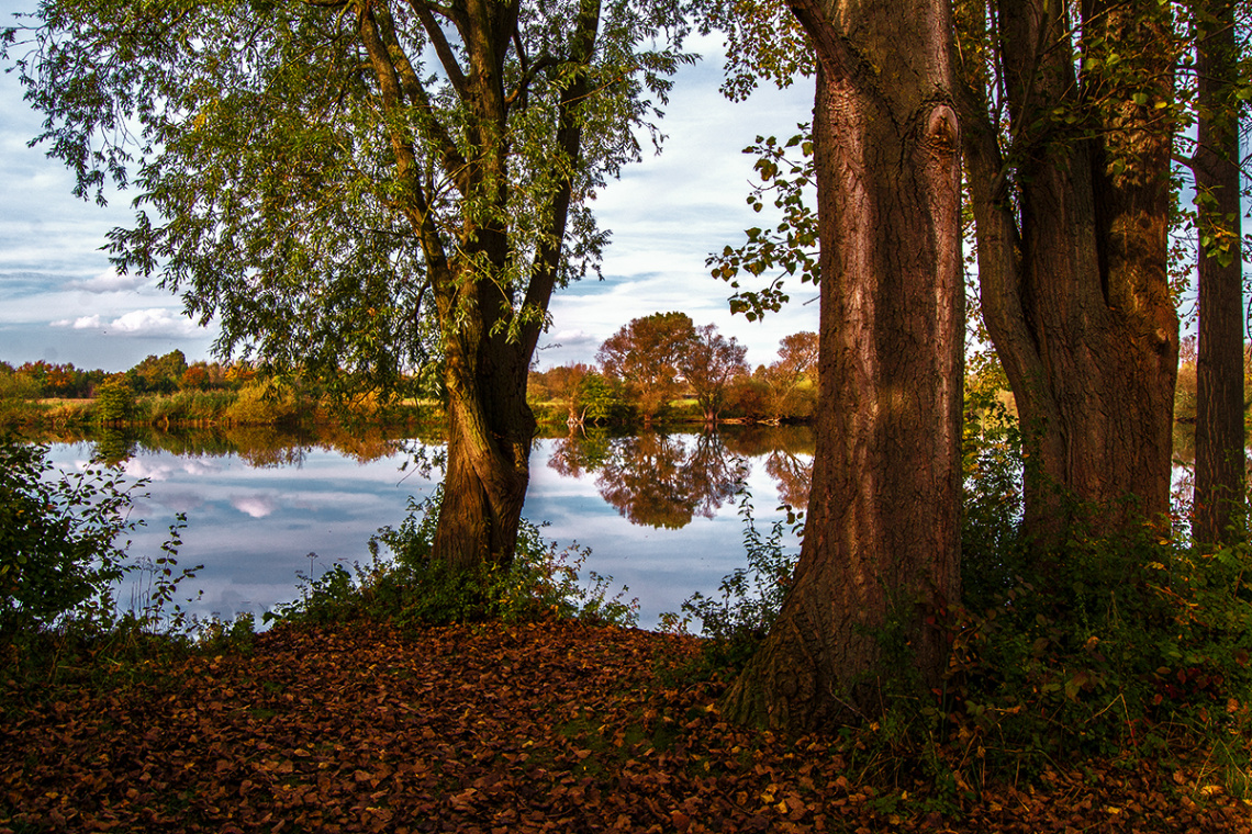 Autumn Evening