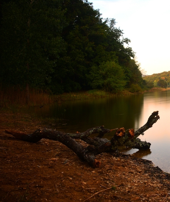 Doğa / Nature
