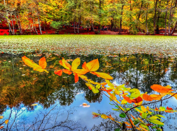 Yedigöller'de Hazan