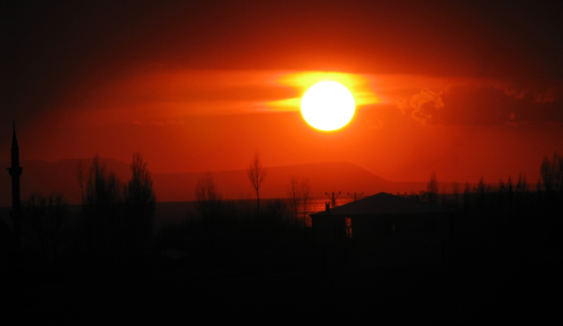 SARI VE TONLARI
