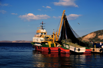 VİRA BİSMİLLAH...............