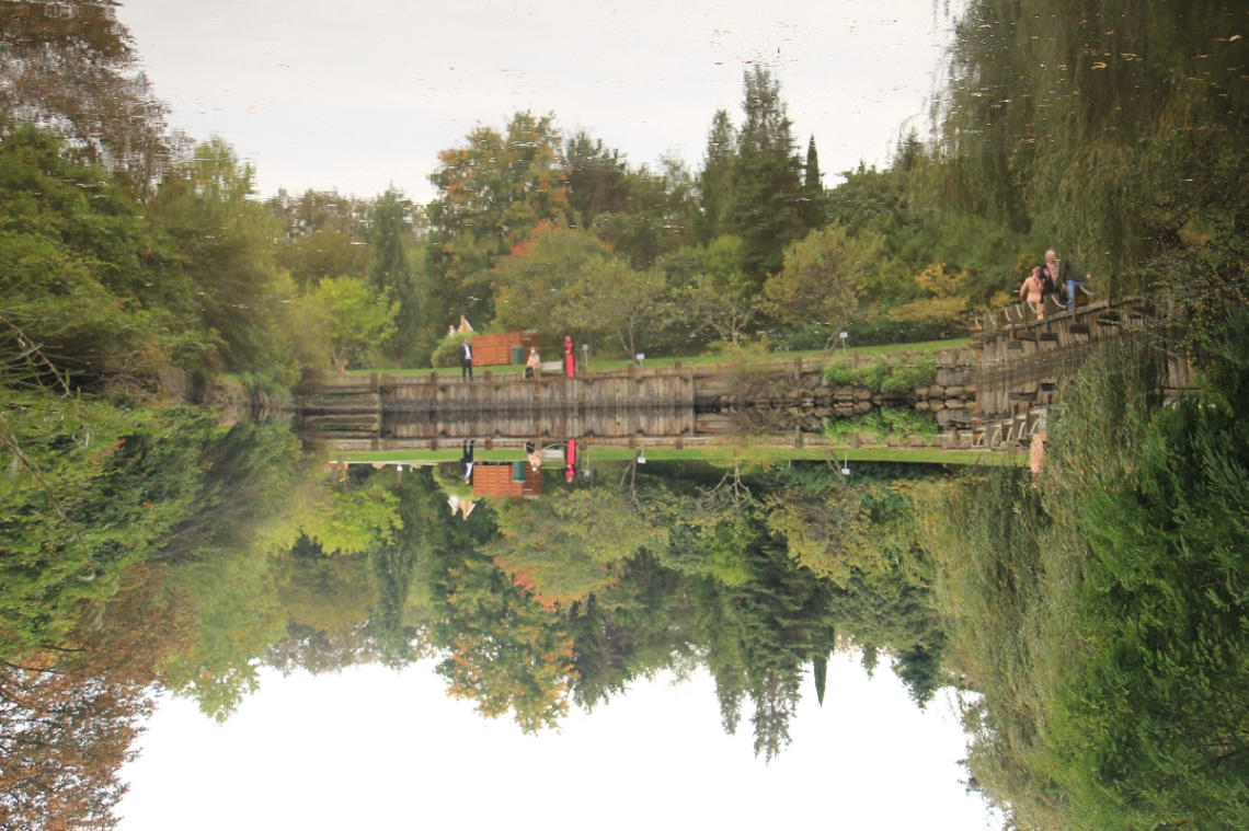 Arboretum