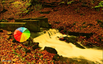 YEDİGÖLLERDE SONBAHAR