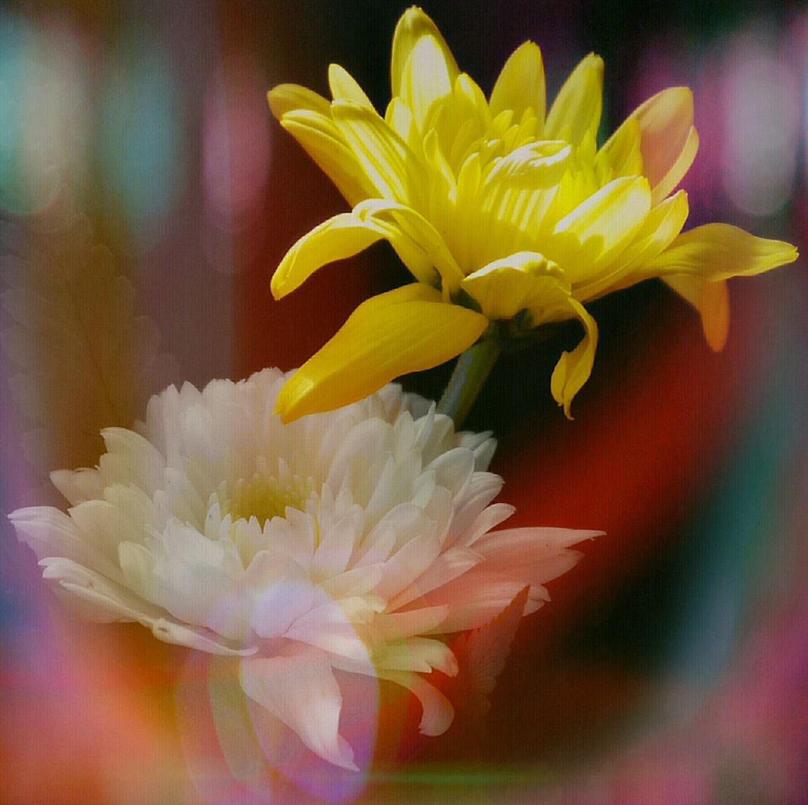 Togetherness II