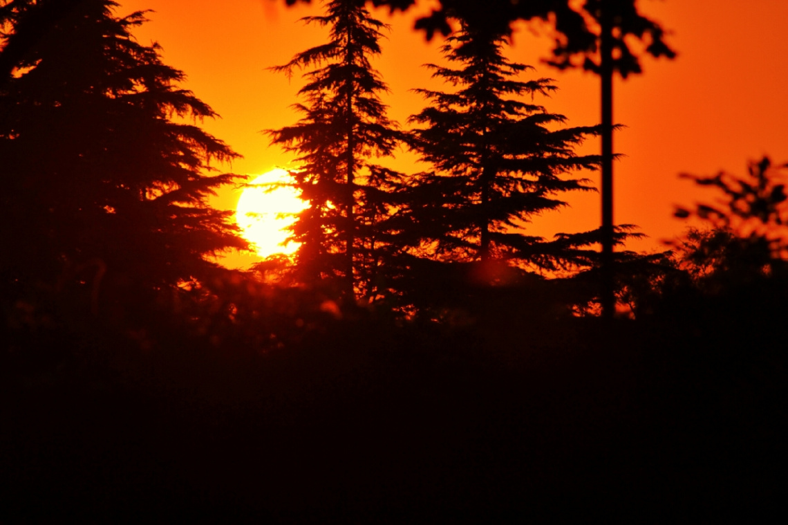hava soguk olunca :)