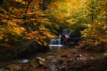 MEVSİM ARTIK SONBAHAR................