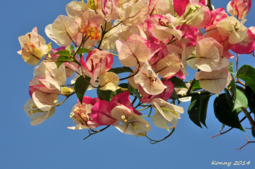 beautiful day for you