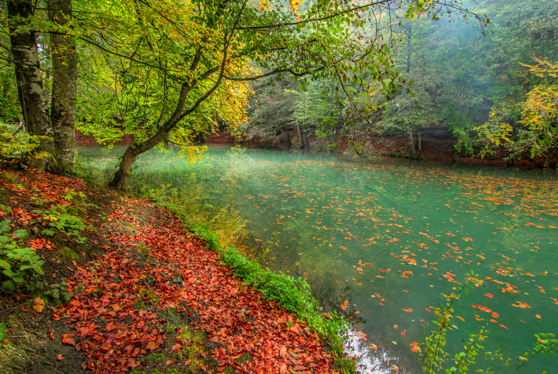 YEDİGÖLLER-2014