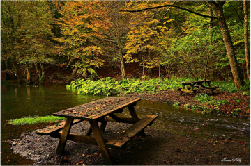 YEDİGÖLLERDE SONBAHAR