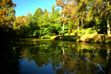 İstanbul Arboretum...