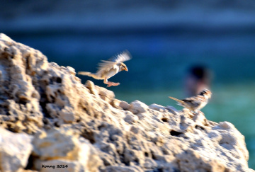 Landing ... :)