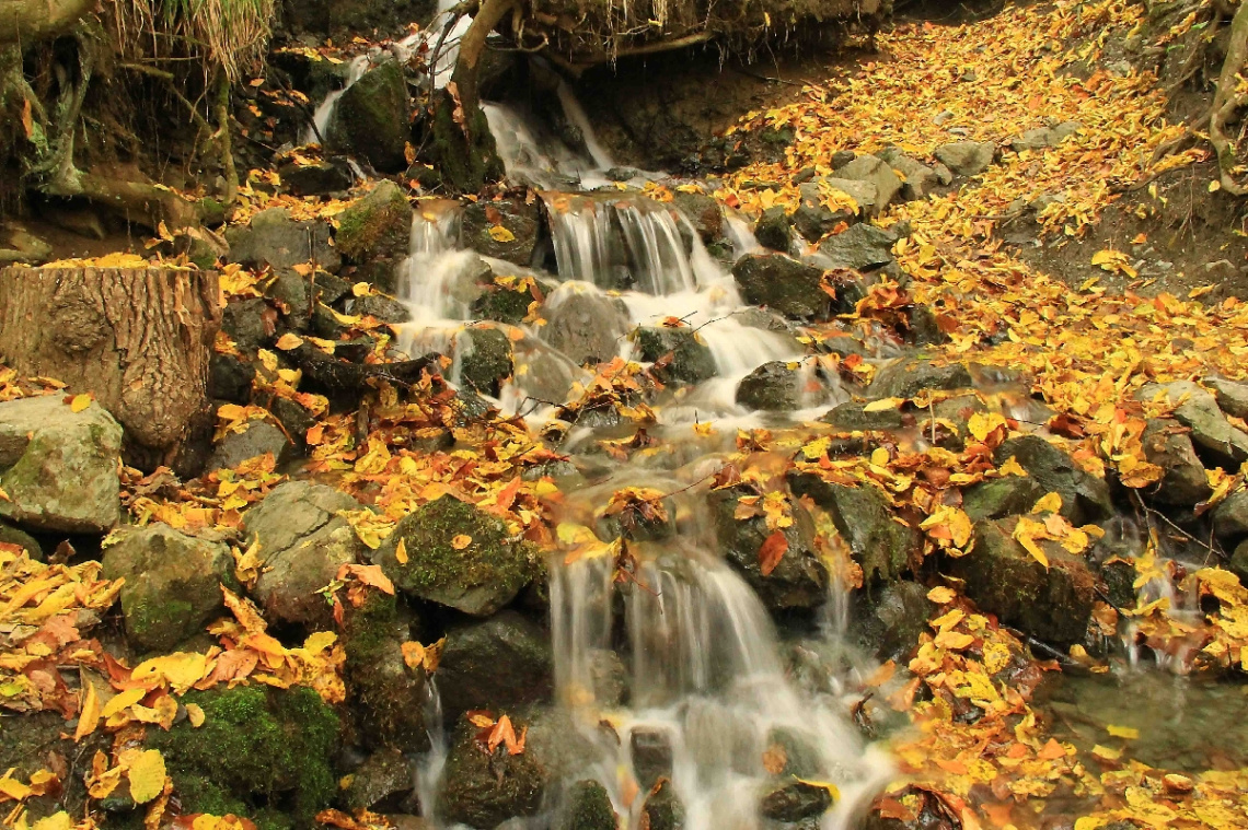 Yedigöller-Bolu
