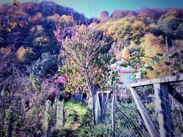 karadenizde güz başkadır