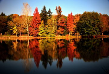 Yansımayı pozlamak