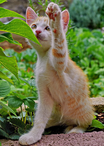 Give me five Yellow :)