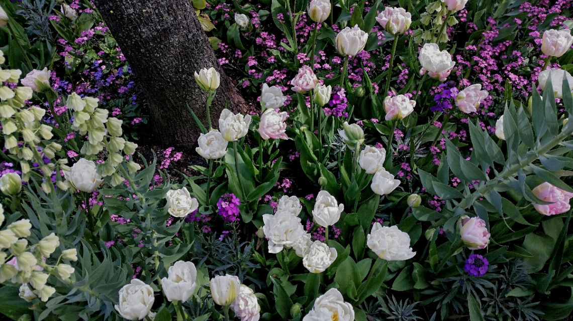 Flowers In A Garden...