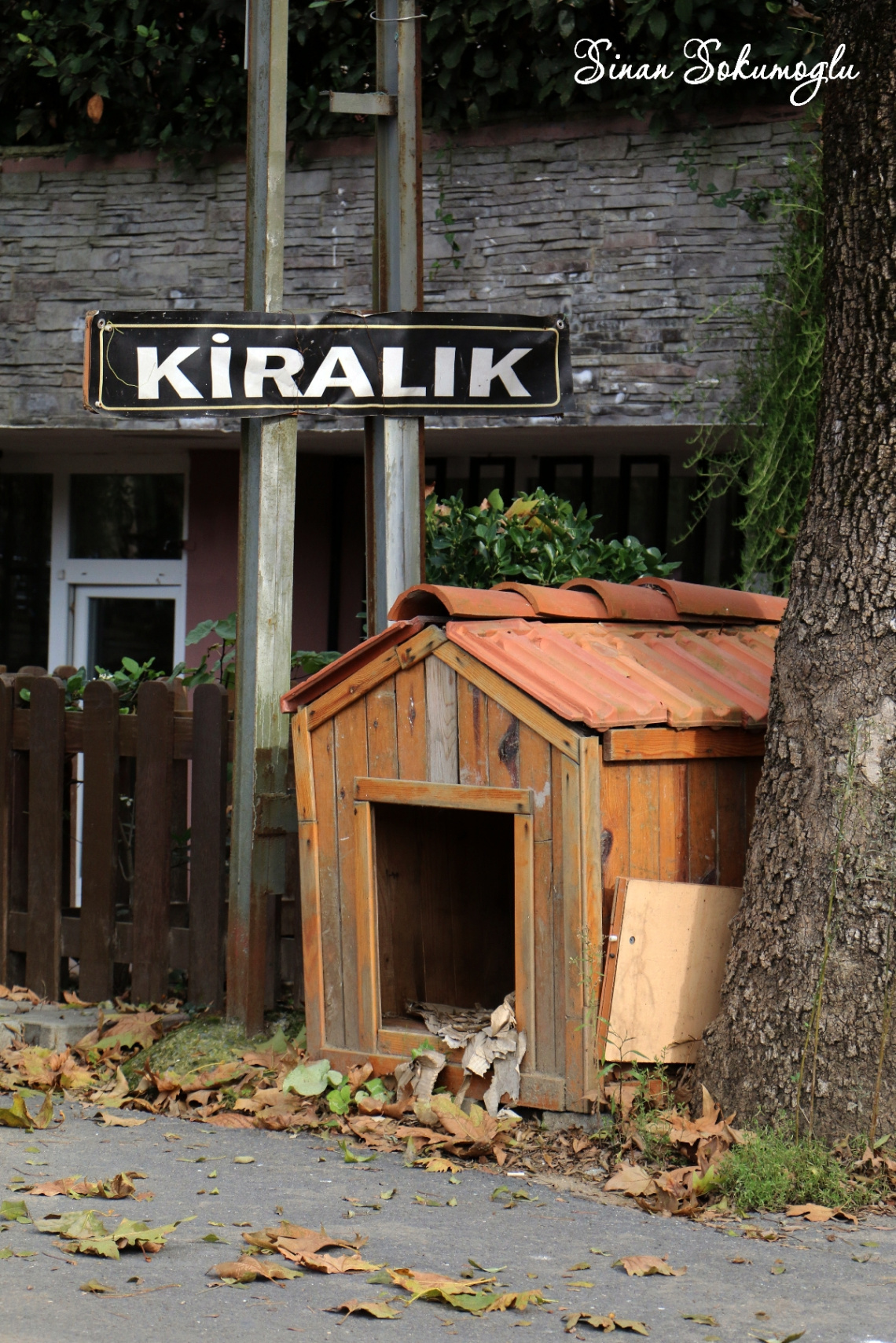 kiralık makam odası
