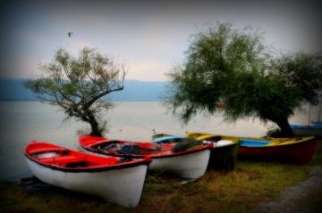 GÖLYAZI NIN RENKLERİ .... 