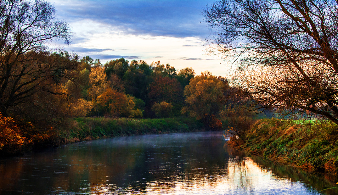 Autumn Morning