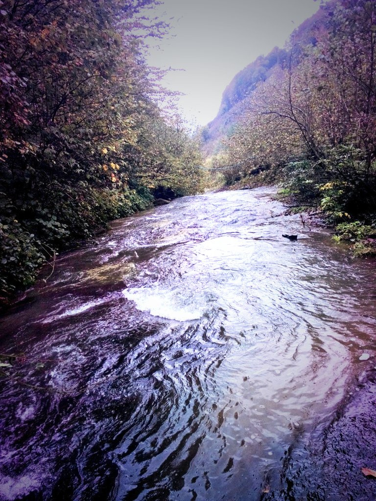 karadeniz doğası