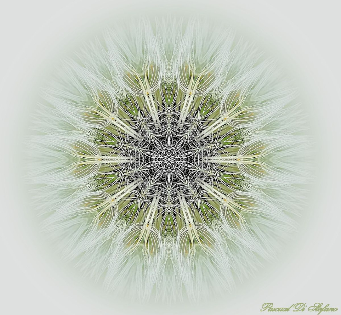 Neurona