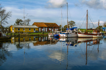 Little Harbor Orth