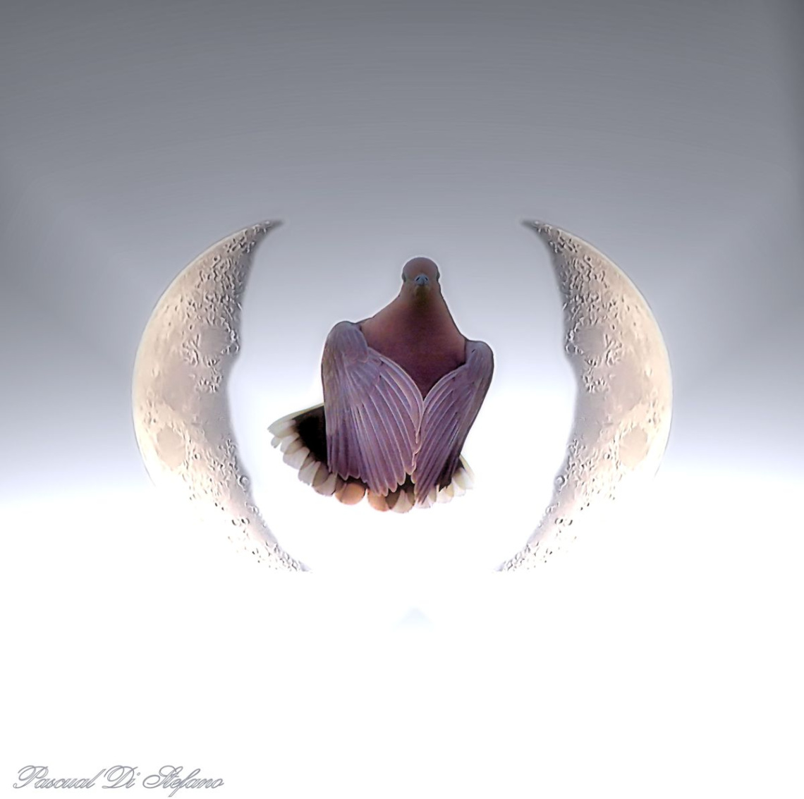 Peace