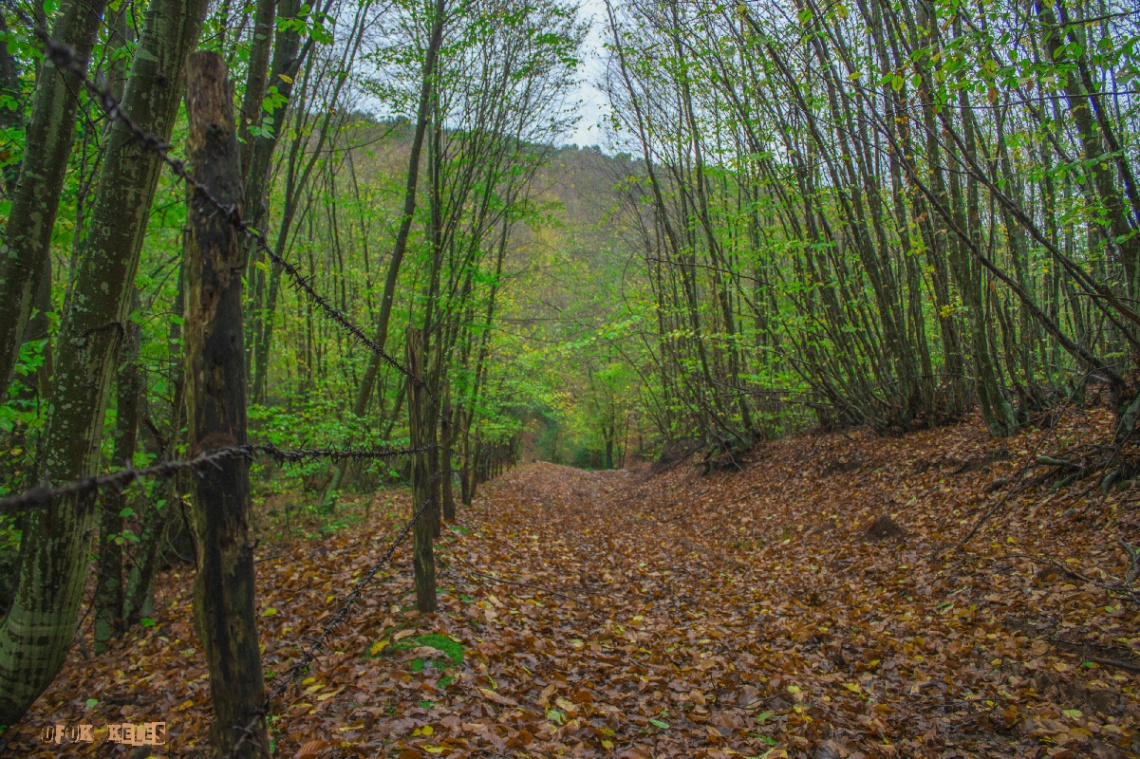 Kerpe/Kandıra/Kocaeli