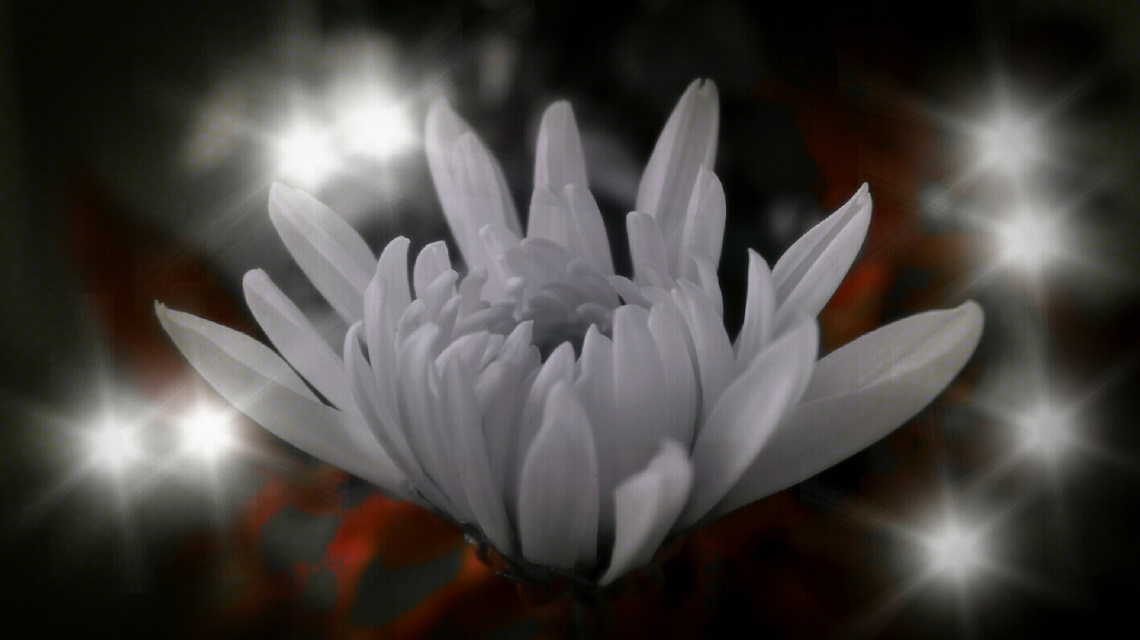 lights and Shadow 