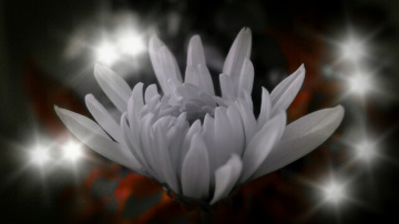 lights and Shadow 