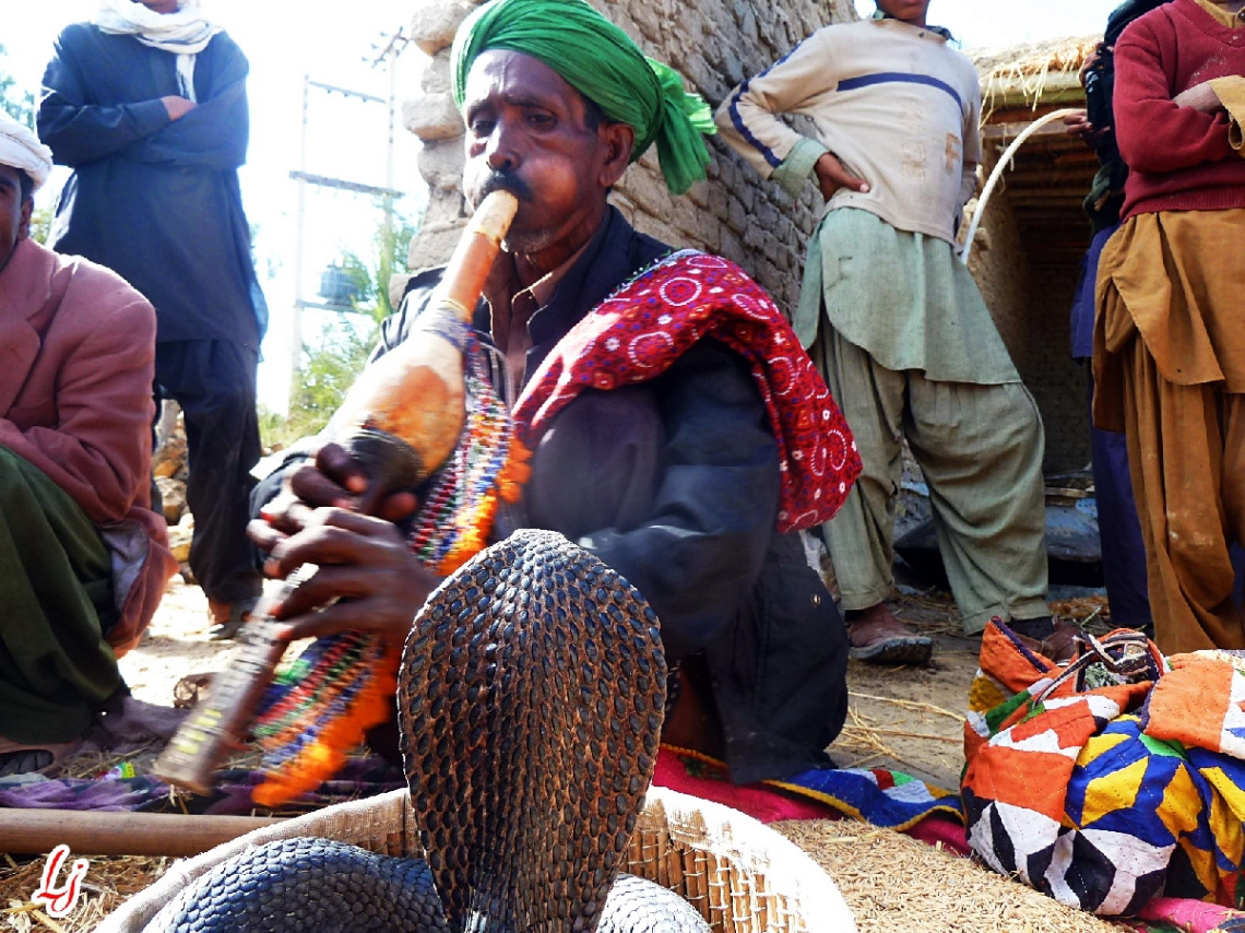 Snake charmer at village