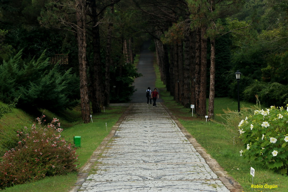 Atatürk Arboretum.
