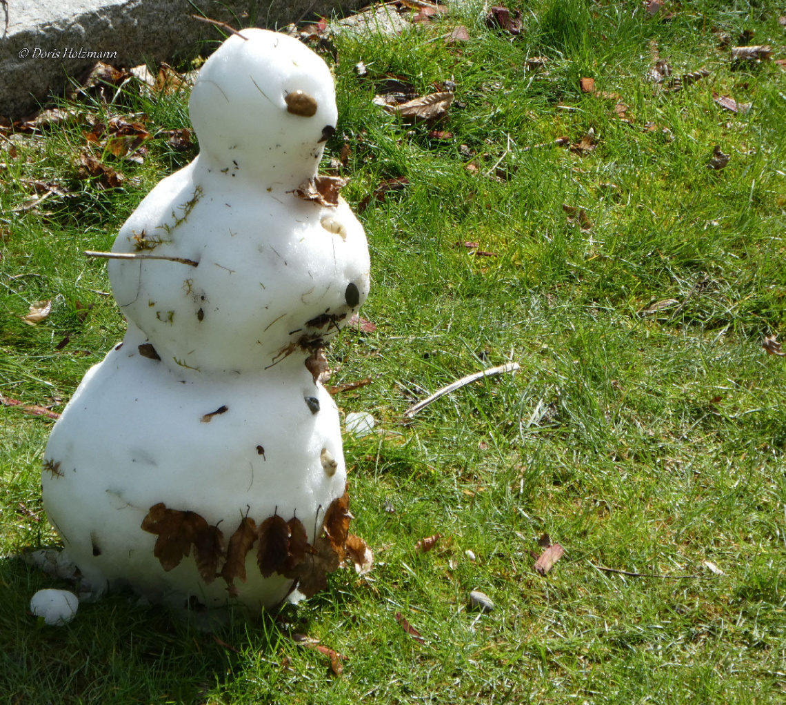 The last snowman for this year :)
